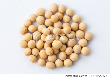 大豆白背 大豆白背 142655974