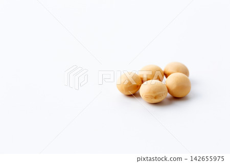 Soybean white back Soybean white back 142655975