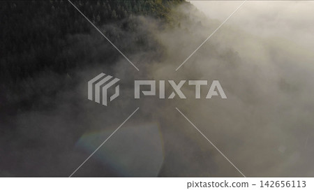 Sun rays shining through foggy forest in mountains Sun rays shining through foggy forest in mountains 142656113
