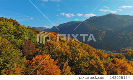 Aerial view of mountain range with vibrant autumn forest Aerial view of mountain range with vibrant autumn forest 142656124