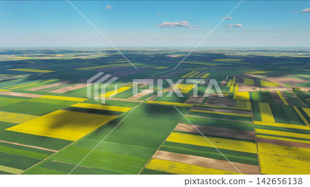Agricultural fields with yellow rapeseed oil crops Agricultural fields with yellow rapeseed oil crops 142656138