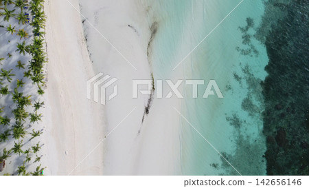 Tropical beach with white sand and palm trees 142656146