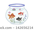 一幅插圖，描繪了一個金魚缸，裡面有三種不同類型的金魚在游泳。 142656214