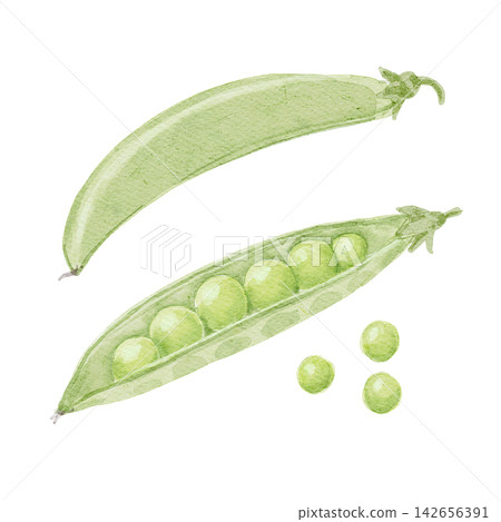 watercolour, watercolors, vegetables 142656391