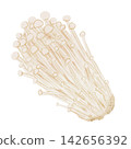 金針菇水彩插圖 142656392