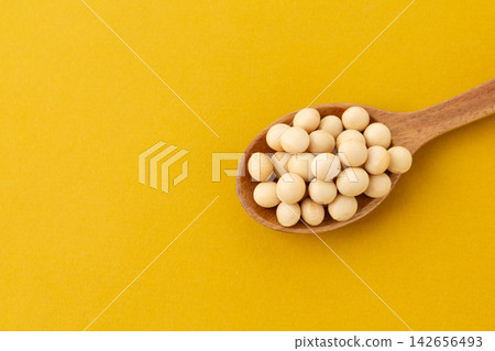 大豆黃背 大豆黃背 142656493