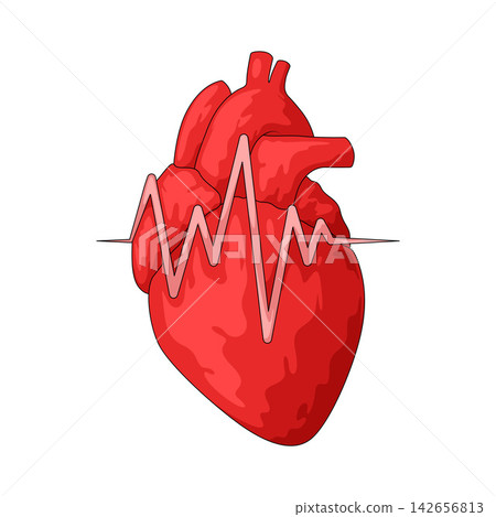 Illustration of Heart with EKG Line 142656813