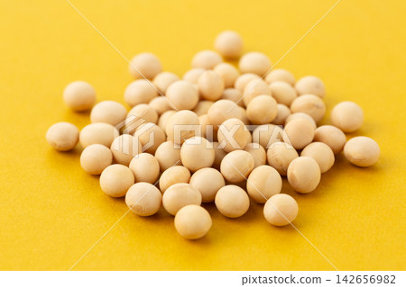 Soybean yellow back Soybean yellow back 142656982