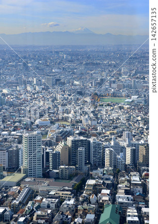 從東京都廳大樓眺望富士山(東京都新宿區) 從東京都廳大樓眺望富士山(東京都新宿區) 142657135