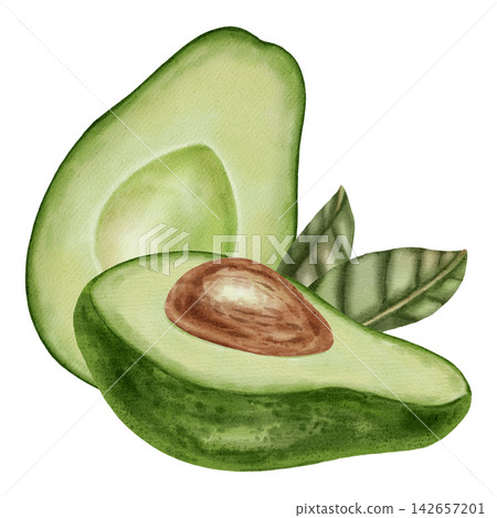 A hand-drawn watercolor illustration of an avocado composition with slices and leaves. Suitable for stores, cafes, packaging, menus, and products related to cooking, skincare, and health. A hand-drawn watercolor illustration of an avocado composition with slices and leaves. Suitable for stores, cafes, packaging, menus, and products related to cooking, skincare, and health. 142657201