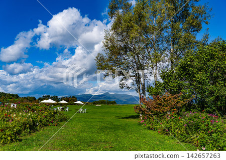 Grasslands in summer resorts Grasslands in summer resorts 142657263