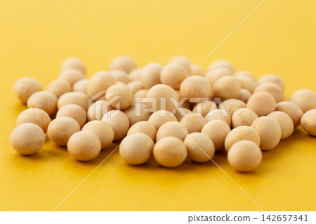 Soybean yellow back 142657341