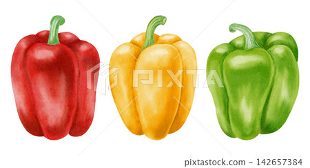 Watercolor bell pepper set with red, yellow, green capsicum, leaf, flower. Hand drawn sweet paprika vegetable element isolated on white background. For kitchen textile, packaging, harvest, agriculture Watercolor bell pepper set with red, yellow, green capsicum, leaf, flower. Hand drawn sweet paprika vegetable element isolated on white background. For kitchen textile, packaging, harvest, agriculture 142657384