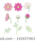 A collection of hand-drawn style illustrations of cosmos flowers in soft autumn colors. 142657463