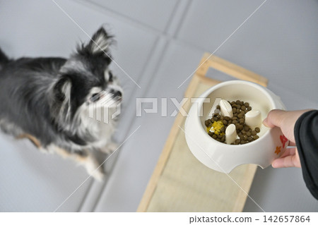 在狗糧中添加蔬菜作為配料（例如南瓜） 142657864