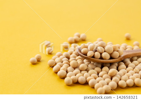 大豆黃背 大豆黃背 142658321