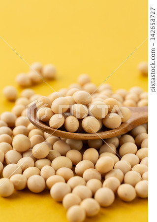 大豆黃背 142658727
