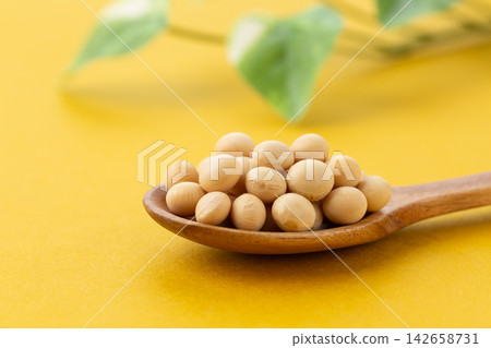 大豆黃背 大豆黃背 142658731