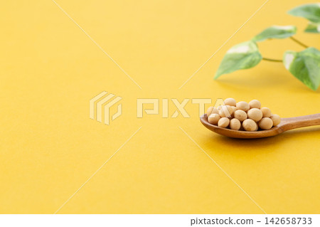 大豆黃背 大豆黃背 142658733