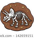 Triceratops Dinosaur Fossil Skeleton 142659151
