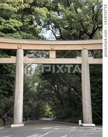 Torii Torii 142659719