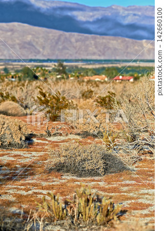 Landscape, nature and mountain with plants for travel, scenery and hiking trail in environment. Sustainable, tourism and greenery on rocks in eco friendly and natural habitat in countryside. Landscape, nature and mountain with plants for travel, scenery and hiking trail in environment. Sustainable, tourism and greenery on rocks in eco friendly and natural habitat in countryside. 142660100