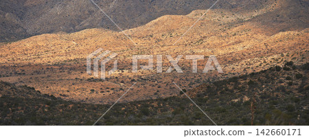 Landscape, countryside and mountain with nature or environmental friendly, summer and drought in Texas. Outdoor, adventure and jungle with global warming, dry and climate change with sustainability Landscape, countryside and mountain with nature or environmental friendly, summer and drought in Texas. Outdoor, adventure and jungle with global warming, dry and climate change with sustainability 142660171