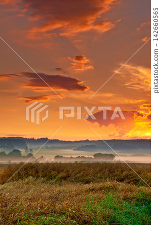 Sunset, field and plants on farm, ecology and travel to countryside or outdoor nature. Dusk, meadow and earth for landscape or peace and calm sustainability, relax and growth in grass environment Sunset, field and plants on farm, ecology and travel to countryside or outdoor nature. Dusk, meadow and earth for landscape or peace and calm sustainability, relax and growth in grass environment 142660565