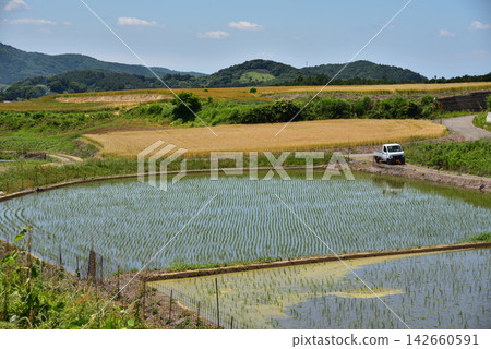 藍天下,稻田和山村的鄉村景色盡收眼底。 藍天下,稻田和山村的鄉村景色盡收眼底。 142660591