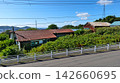 Dilapidated vacant house and guardrails overgrown with weeds; aging wooden house; vacant house problem; social problem 142660695