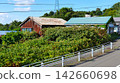 Dilapidated vacant house and guardrails overgrown with weeds; aging wooden house; vacant house problem; social problem 142660698