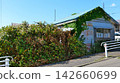 Dilapidated vacant house and guardrails covered in weeds and vines; aging wooden house; vacant house problem; social problem 142660699