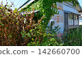 Dilapidated vacant house and guardrails covered in weeds and vines; aging wooden house; vacant house problem; social problem 142660700