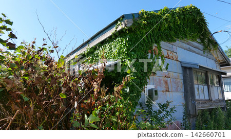 Dilapidated vacant house and guardrails covered in weeds and vines; aging wooden house; vacant house problem; social problem Dilapidated vacant house and guardrails covered in weeds and vines; aging wooden house; vacant house problem; social problem 142660701
