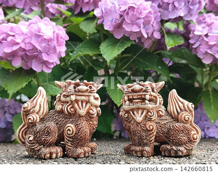 Shisa and hydrangeas Shisa and hydrangeas 142660815