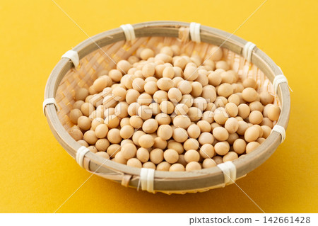 大豆黃背 大豆黃背 142661428