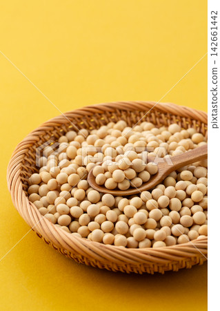 大豆黃背 大豆黃背 142661442