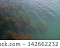 清潔的海洋洋流 142662232