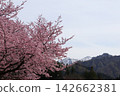 櫻花和山 142662381