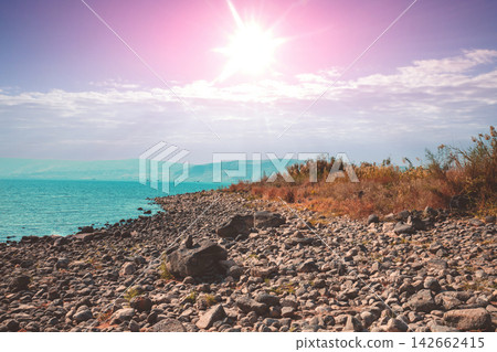 Rocky seascape. Seashore near Ein Eyov Waterfall in Tabgha. Sea of Galilee, Israel 142662415