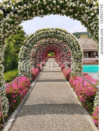 花園 花園 142662749