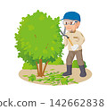 Pruning garden trees by a man (02) 142662838