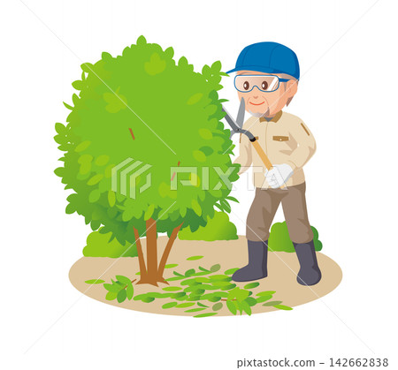 Pruning garden trees by a man (02) Pruning garden trees by a man (02) 142662838