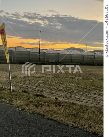夕陽灑在靜謐的田野上。 夕陽灑在靜謐的田野上。 142663105