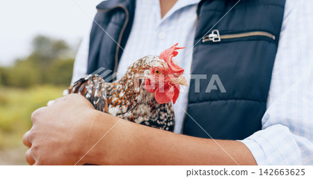 Person, rooster and farm love or nature in countryside for carbon capture, sustainability or agriculture. Worker, livestock and bird hug in animal environment field for ecology, produce or outdoor Person, rooster and farm love or nature in countryside for carbon capture, sustainability or agriculture. Worker, livestock and bird hug in animal environment field for ecology, produce or outdoor 142663625