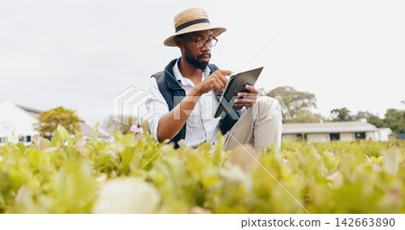 Black man, tablet and farming in greenhouse for harvest, production or inspection of crops or resources in nature. African male person with technology in agriculture for natural or fresh produce Black man, tablet and farming in greenhouse for harvest, production or inspection of crops or resources in nature. African male person with technology in agriculture for natural or fresh produce 142663890