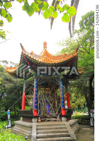 塞繆爾·科金花園、江之島海蠟燭 塞繆爾·科金花園、江之島海蠟燭 142664196