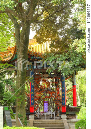 塞繆爾·科金花園、江之島海蠟燭 塞繆爾·科金花園、江之島海蠟燭 142664237