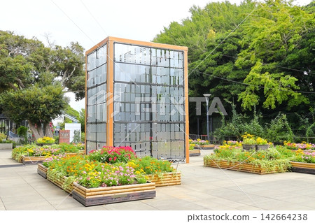 塞繆爾·科金花園、江之島海蠟燭 塞繆爾·科金花園、江之島海蠟燭 142664238
