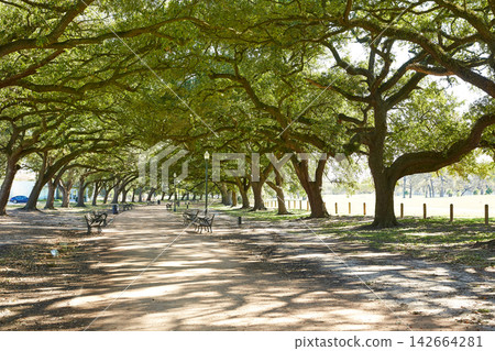 Houston Hermann park Marvin Taylor trail Houston Hermann park Marvin Taylor trail 142664281